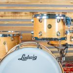 Ludwig Continental Web Thumb